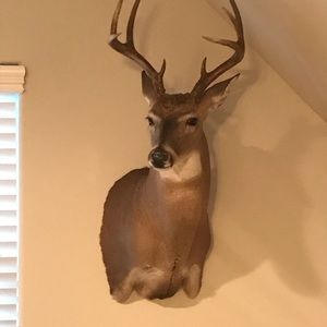 Meet your Posher, Jerritt